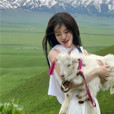 怪兽王哥斯拉