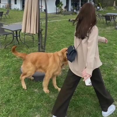独行侠